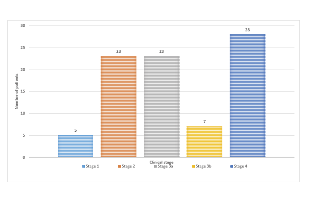 Fig. 1. Clinical stage of AE patients’ at the time of diagnosis.