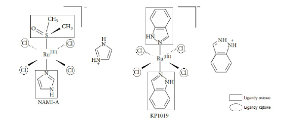 Ryc. 1. Budowa NAMI-A oraz KP1019