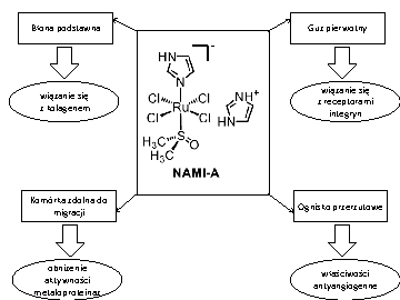 Ryc. 2. Interakcje biologiczne odpowiadające za antymetastatyczne właściwości NAMI-A (wg [5] zmodyfikowano)