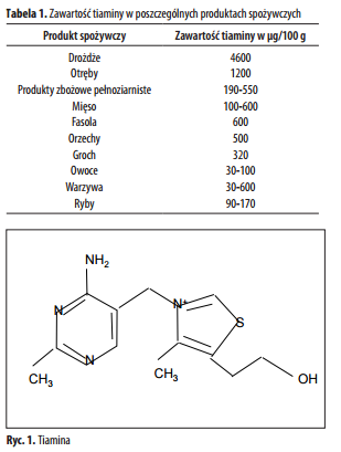 Rola Tiaminy W Chorobach Neurodegeneracyjnych Postępy